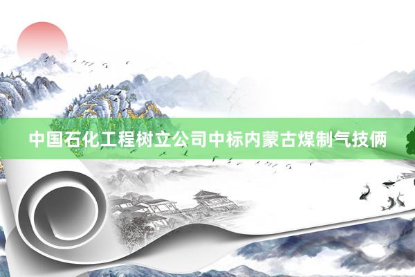 中国石化工程树立公司中标内蒙古煤制气技俩